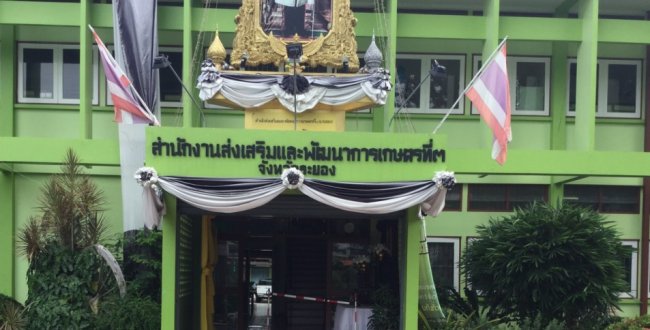 ปลูกไม้ผลพร้อมระบบน้ำสปริงเกอร์ @ สำนักงานส่งเสริมและพัฒนาการเกษตรที่ 3 จ.ระยอง